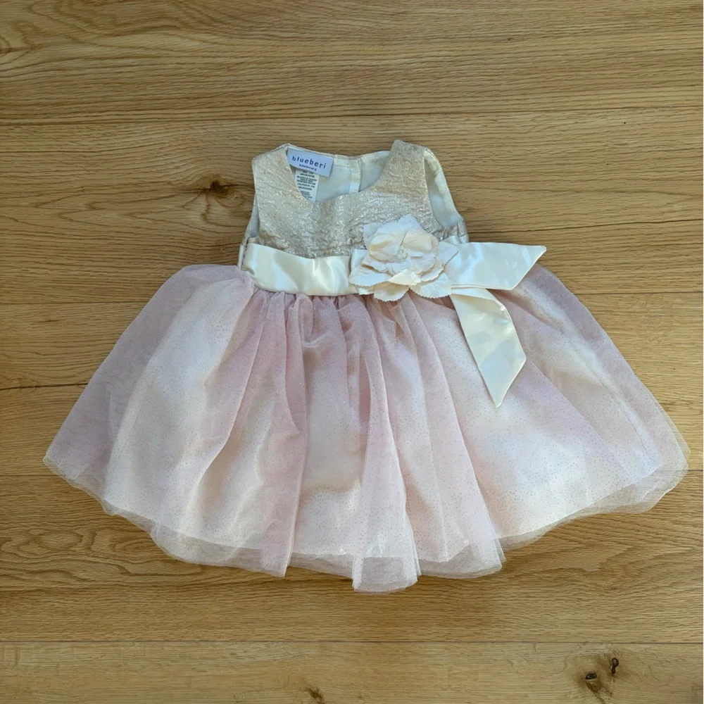 Blueberi Boulevard fancy dress 12 months never worn - Picture 2 of 5